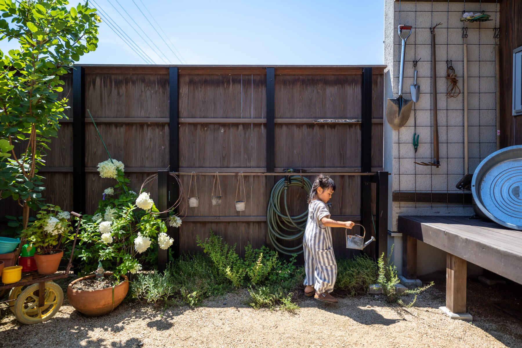 小川建美 庭