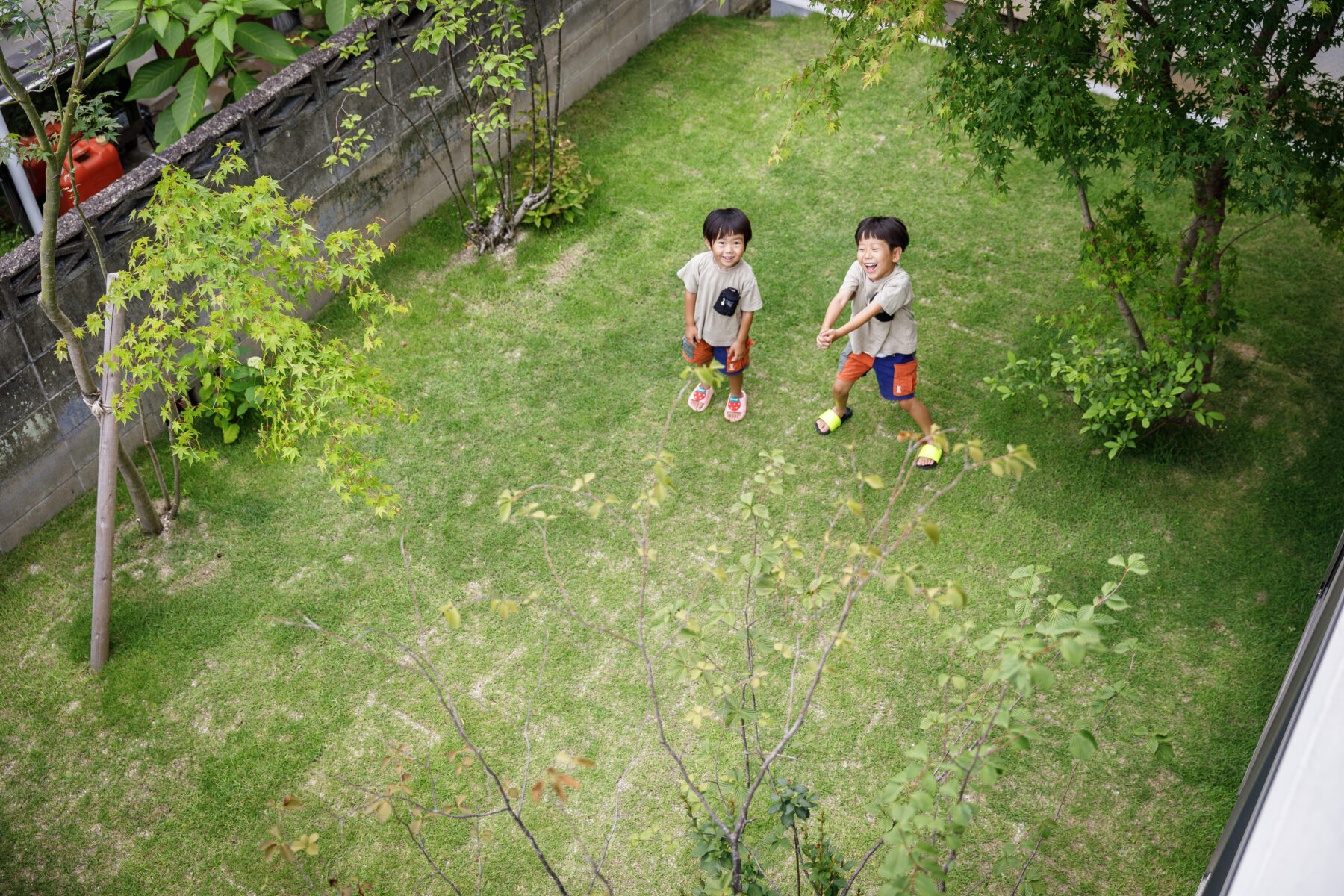 小川建美 庭