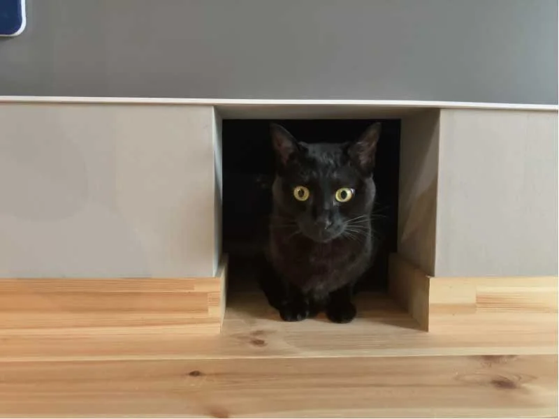 BinO 猫ドア