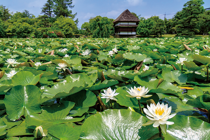 PHOTO_courtesy of 岡山県観光連盟