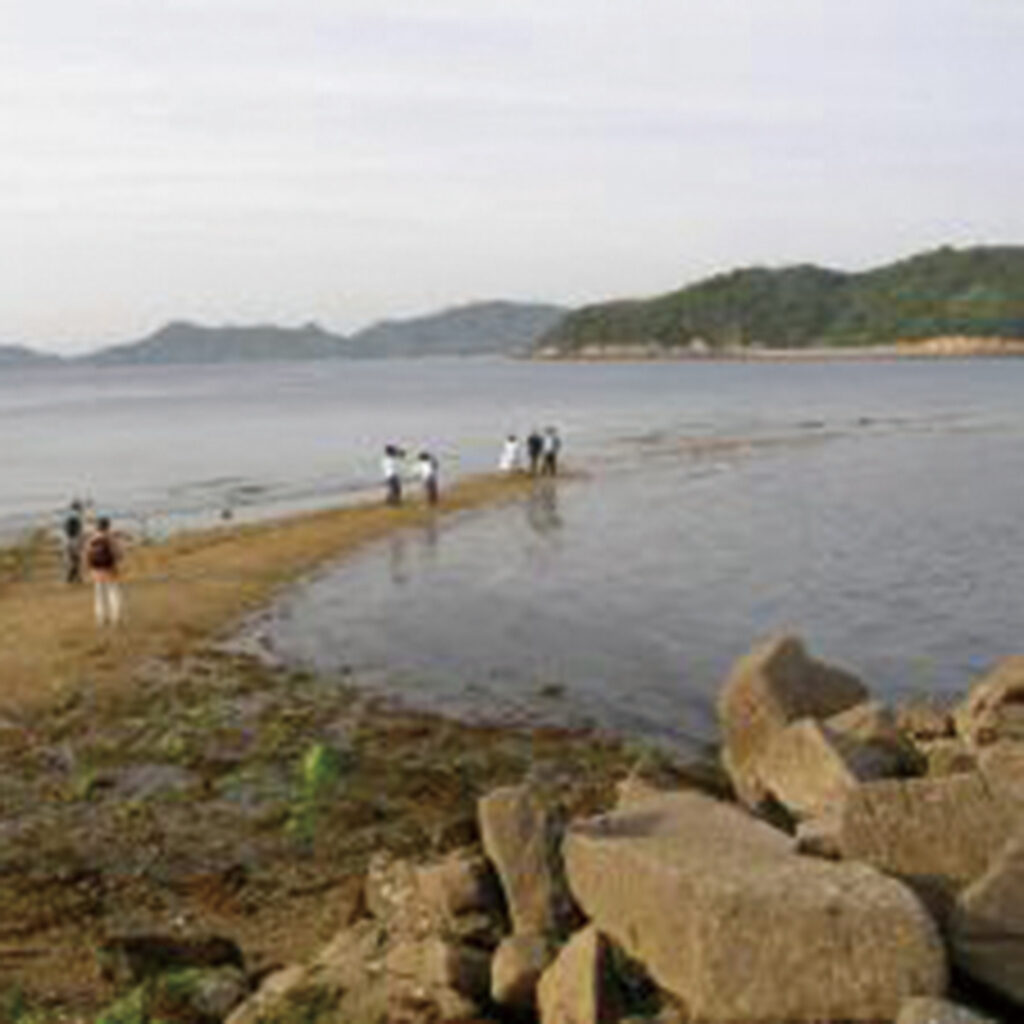 小飛島
