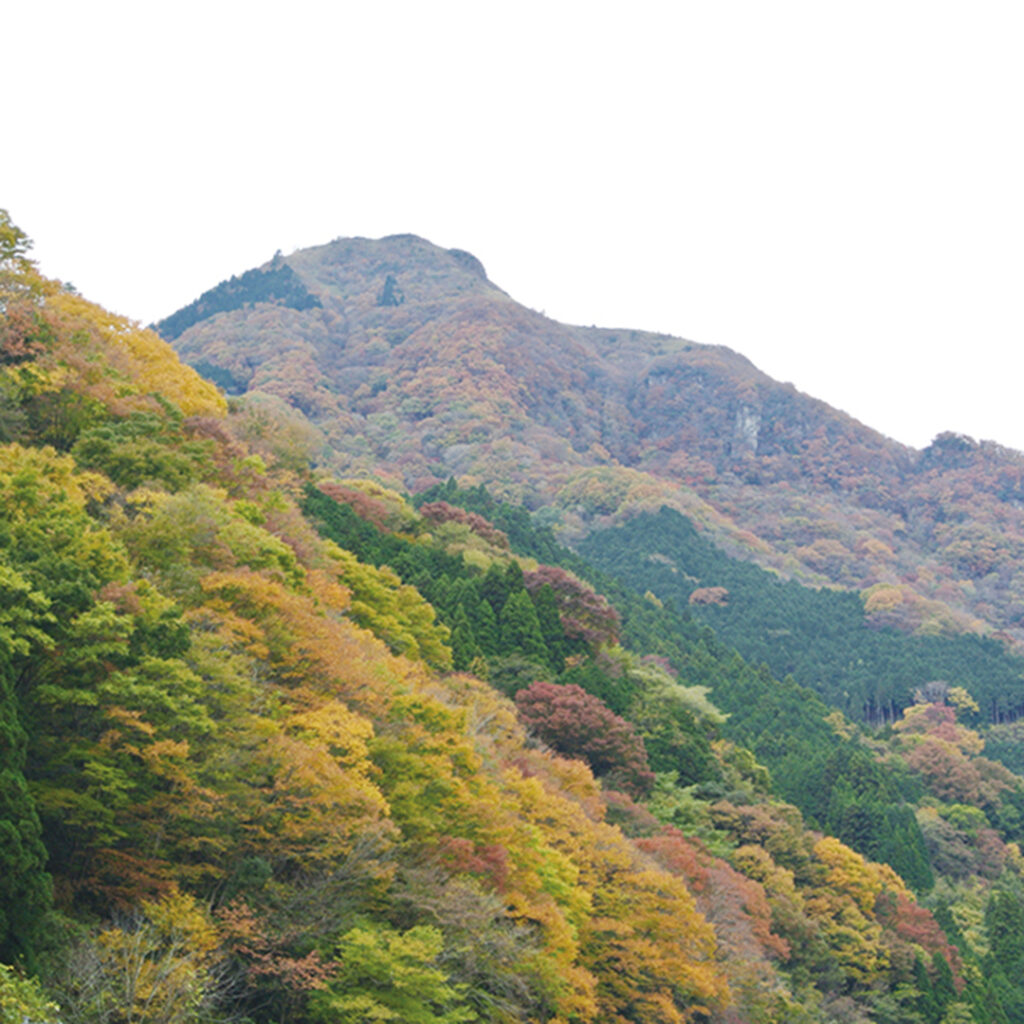 櫃ヶ山