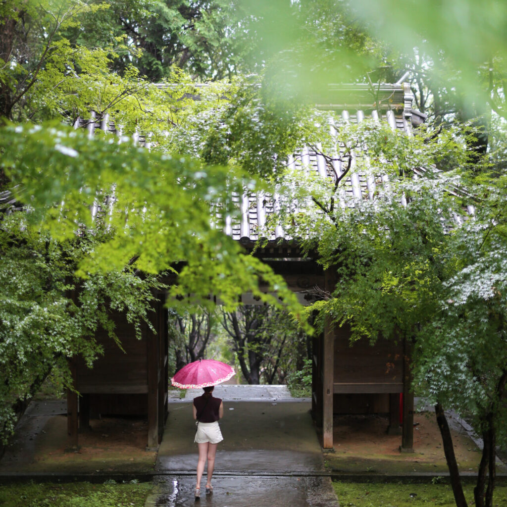 　 神秘的な雰囲気漂う、正面参道。