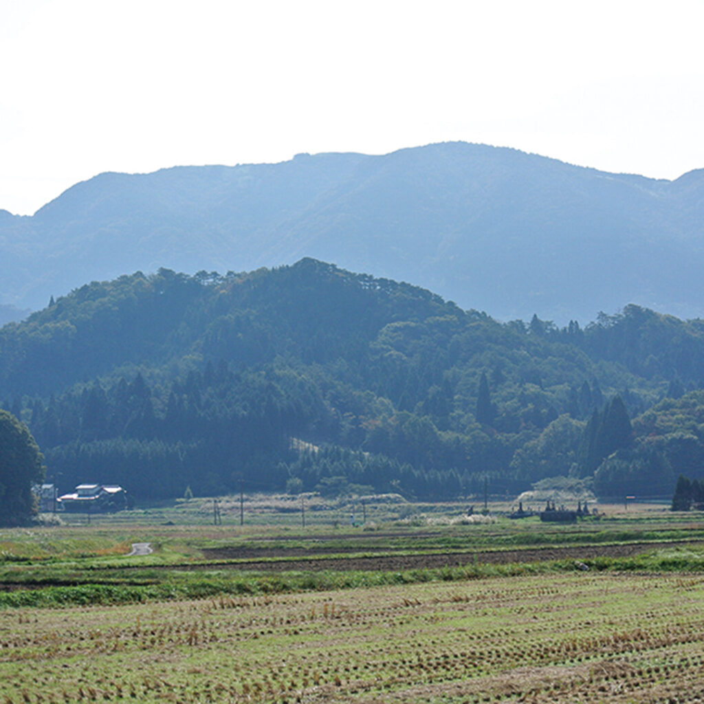 津黒山