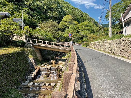 巧と弟の青波が二人乗りの自転車で颯爽と駆け下りた「小高下谷川」沿いの坂道。