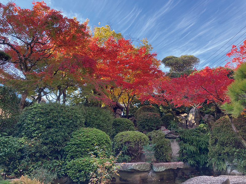 千葉家庭園　Chiba Family Garden