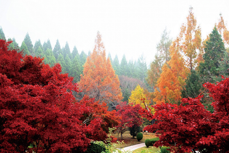 湧永満之記念庭園　Manji Wakunaga Memorial Garden