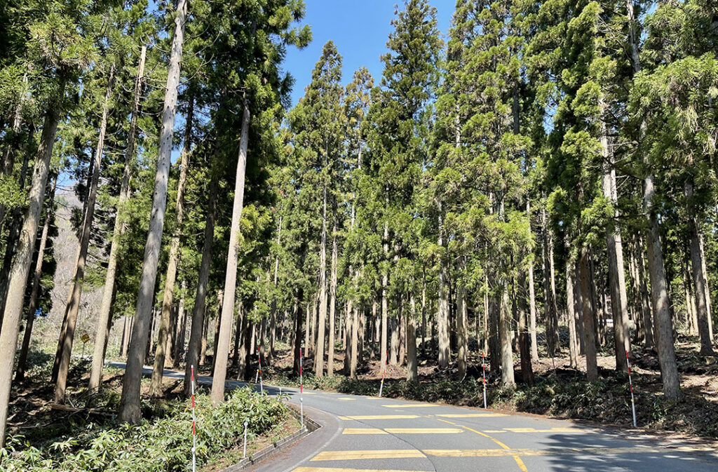 大山環状道路
