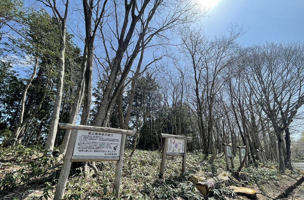 蒜山高原風景林