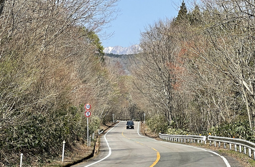 蒜山の大自然を全身で感じるネイチャー・ドライブ