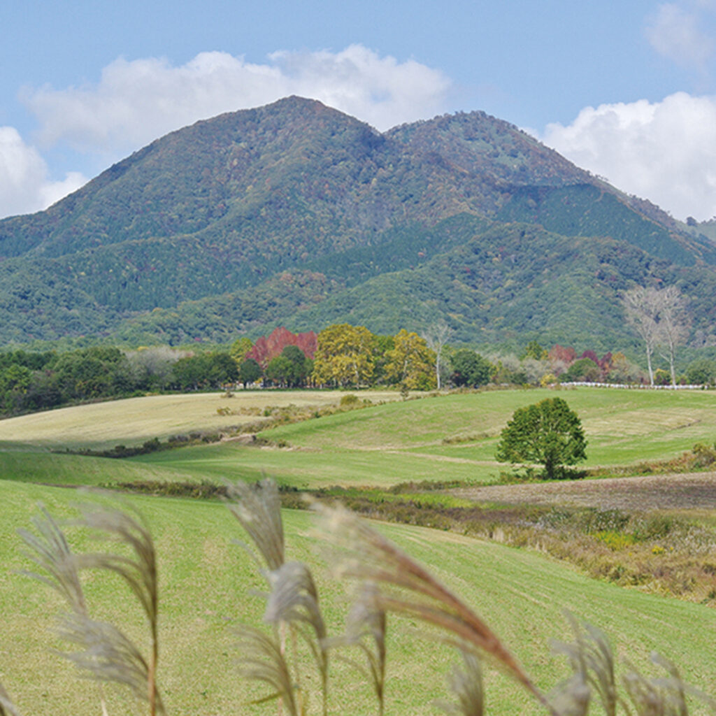 皆ヶ山