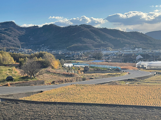 五剣山をバックにのどかな田園風景が広がるローケーション