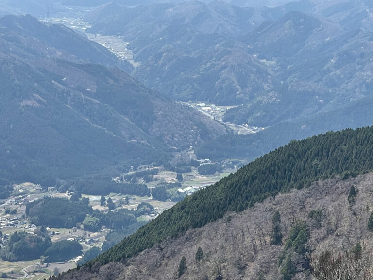 瀬戸内の名山 後山 植林地