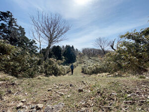 瀬戸内の名山 後山 稜線に出る