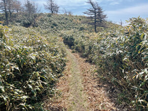 瀬戸内の名山 後山 尾根道を進む