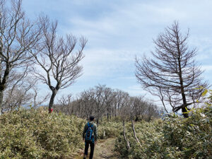 瀬戸内の名山 後山 山頂までまもなく