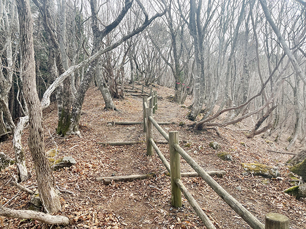 瀬戸内の名山 後山 整備された登山道