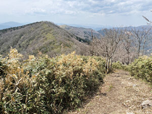 瀬戸内の名山 後山 下山開始