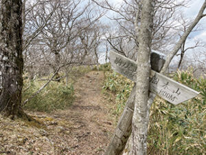 瀬戸内の名山 後山 来た道を帰る