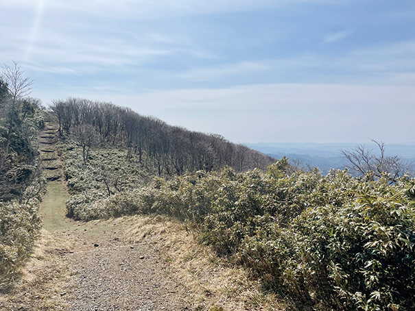 瀬戸内の名山 後山 稜線