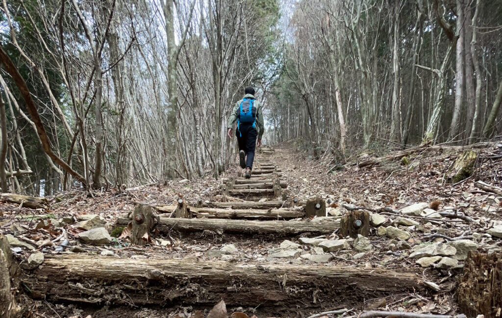 【竜王山 DATA】所在地 ：香川県高松市・まんのう町／徳島県美馬市　山系：讃岐山脈（徳島県側の呼び名は阿讃山脈）　名山選定：四国百名山　公園指定：大滝大川県立自然公園（香川県）