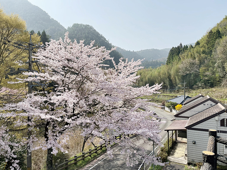 出発点は高松市塩江町にある奥の湯ふれあいの里。山間ののどかな雰囲気が漂い、流れる川のせせらぎに癒やされる。ちょうど桜が満開でテンションも上がる。