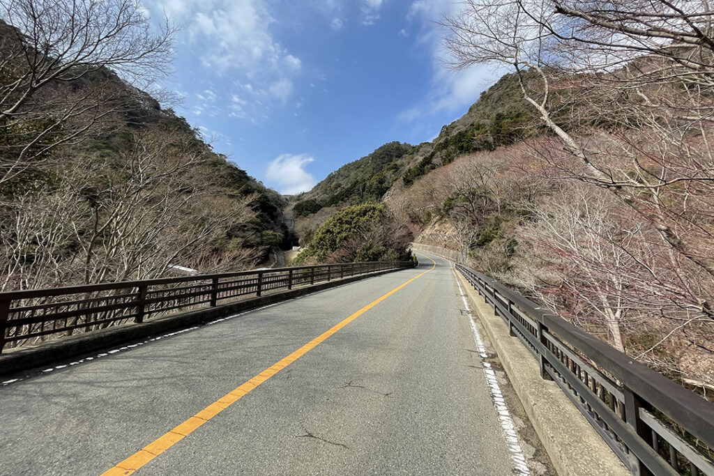 六甲山の南斜面の急な落差を一気に山頂へと駆け上がるダイナミックなルート。
