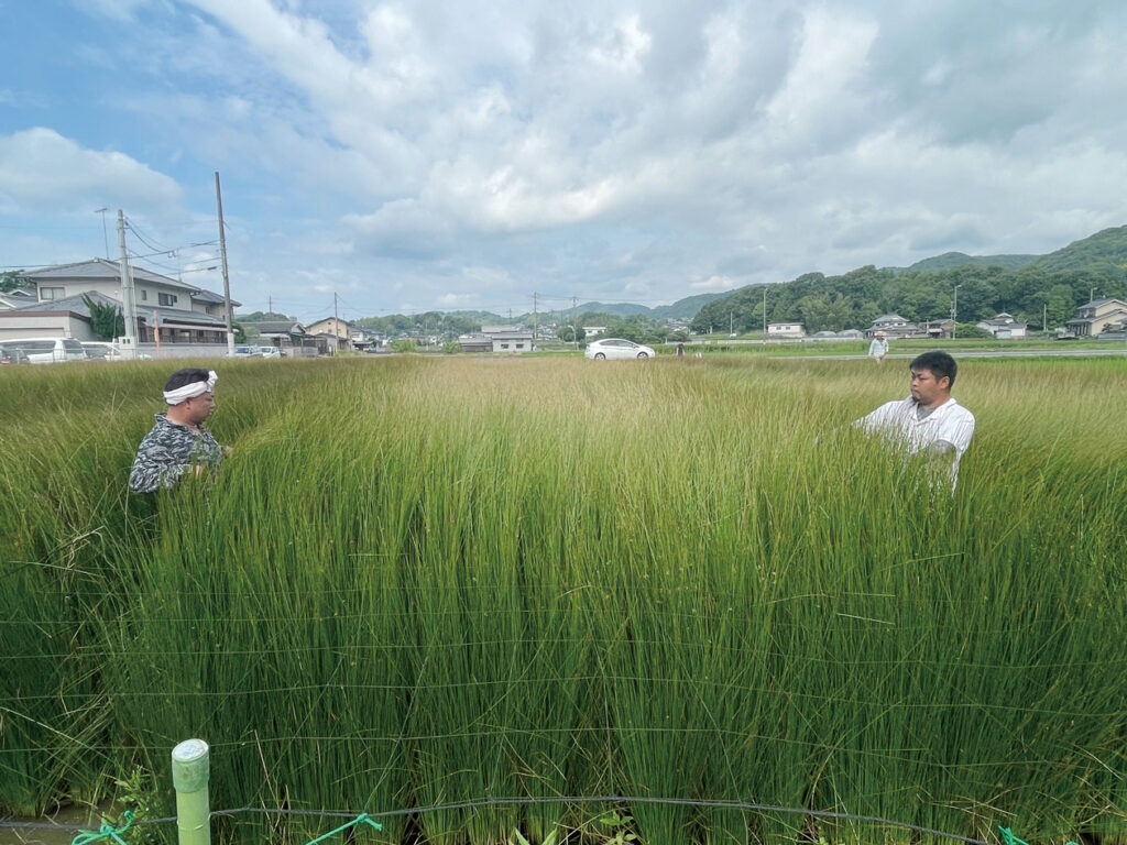 転倒防止用の綱上げ作業