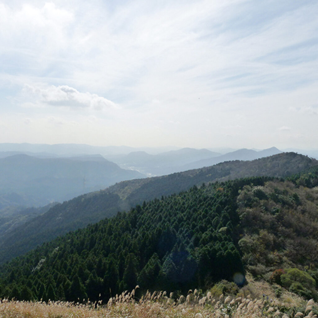 花尾山