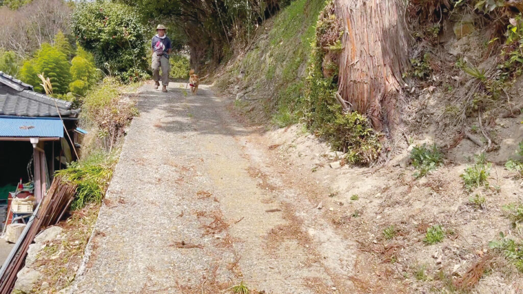 歩き始めてから間もなく犬の散歩をする地元のおじさんと遭遇。「山に登るんな？気いつけていきまいよ」と、登山口までの道を親切に教えてくれた。