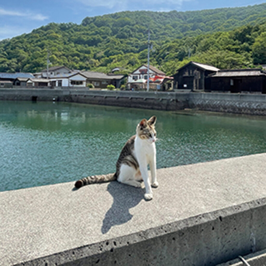 佐柳島