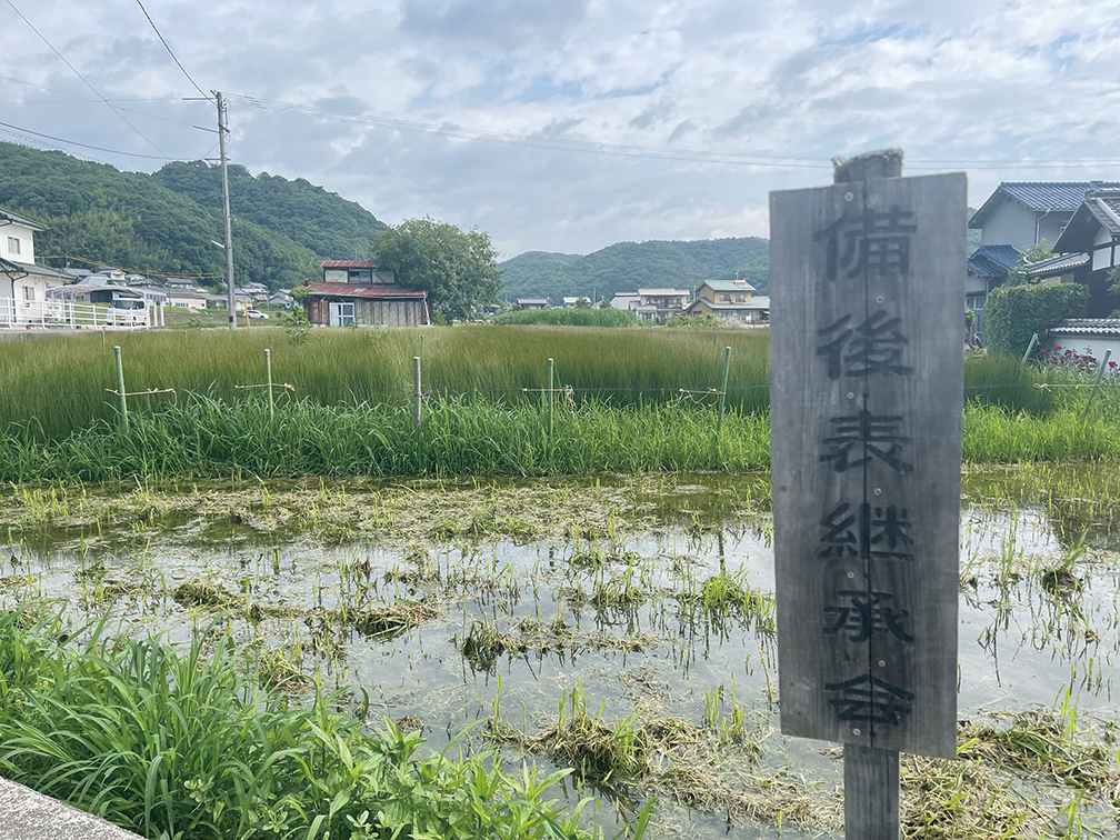 苗の植え付けや収穫