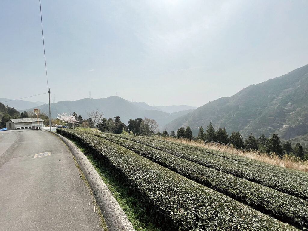 途中いくつかの集落