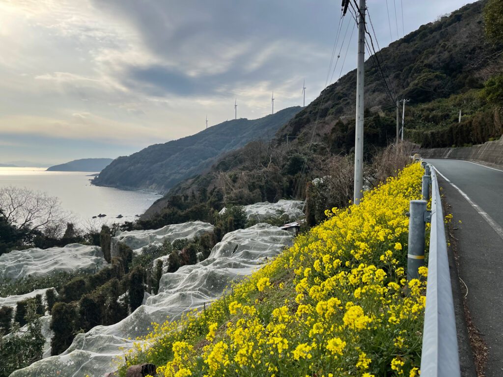 佐田岬灯台