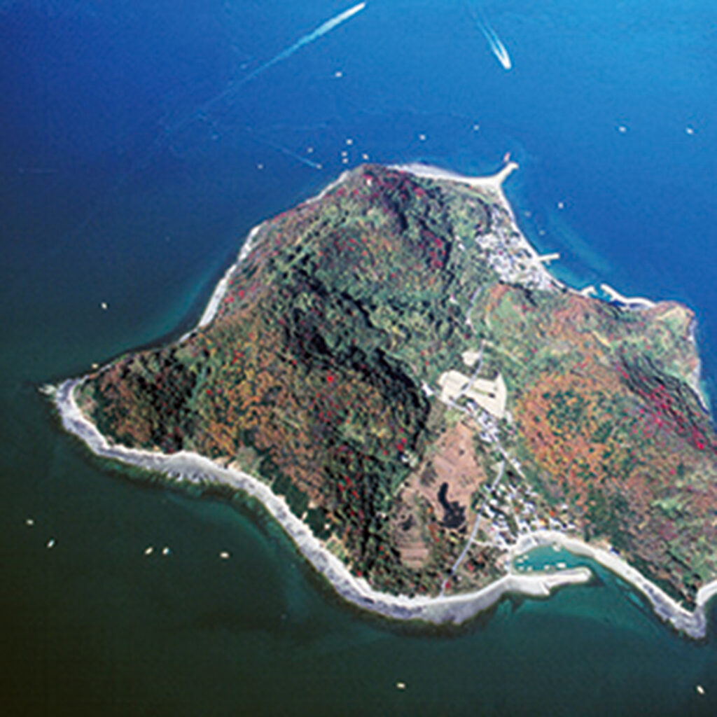 手島