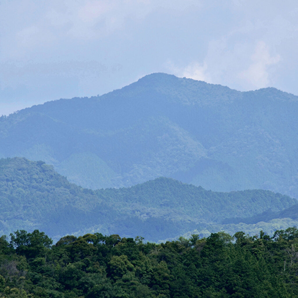 東鳳翩山