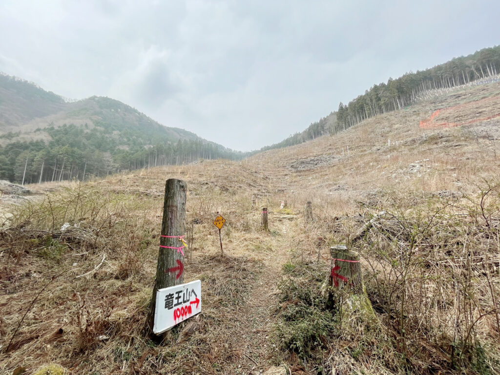 やがて木が伐採された広大な場所に出る。ここは集約化試験団地というエリアで、低コスト造林や早生樹造林、獣害対策への取り組みなどを集約化して試験的に行っているそうだ。山頂まではこの区域内を通過する。
