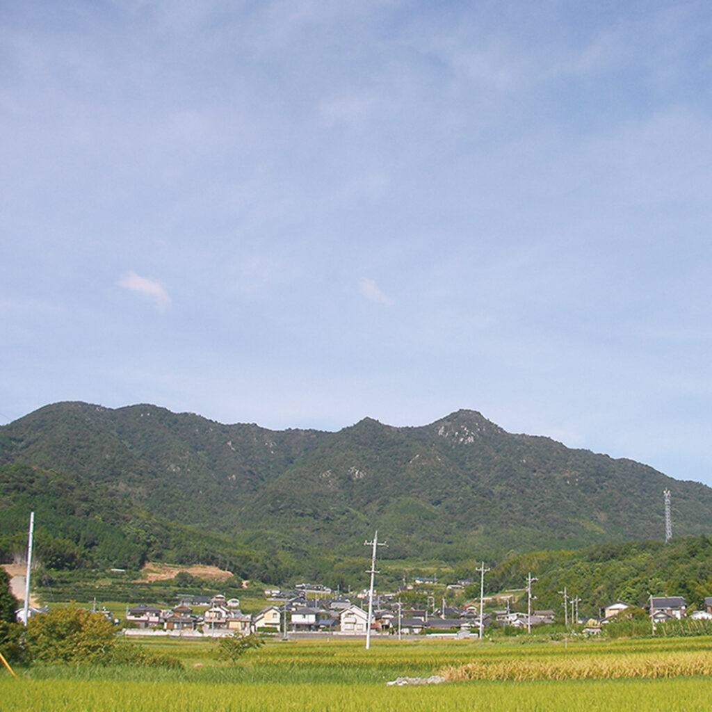 琴石山