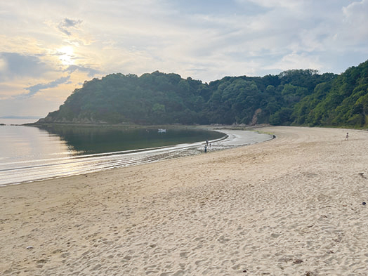 鴨池海岸