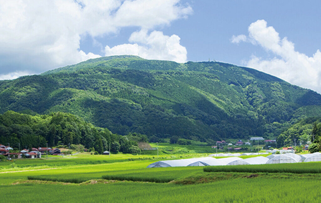 十種ヶ峰