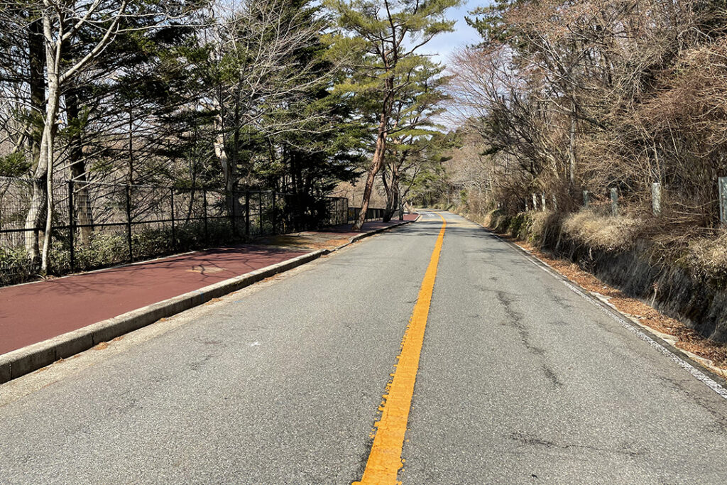 六甲山の尾根伝いを走る県道16号のうち、六甲山牧場付近から西側が「西六甲ドライブウェイ」。神戸市の森林植物園辺りまではタイトなカーブが連続するので、スピードとハンドル操作には十分気を付けながら森林浴ドライブを満喫しよう。