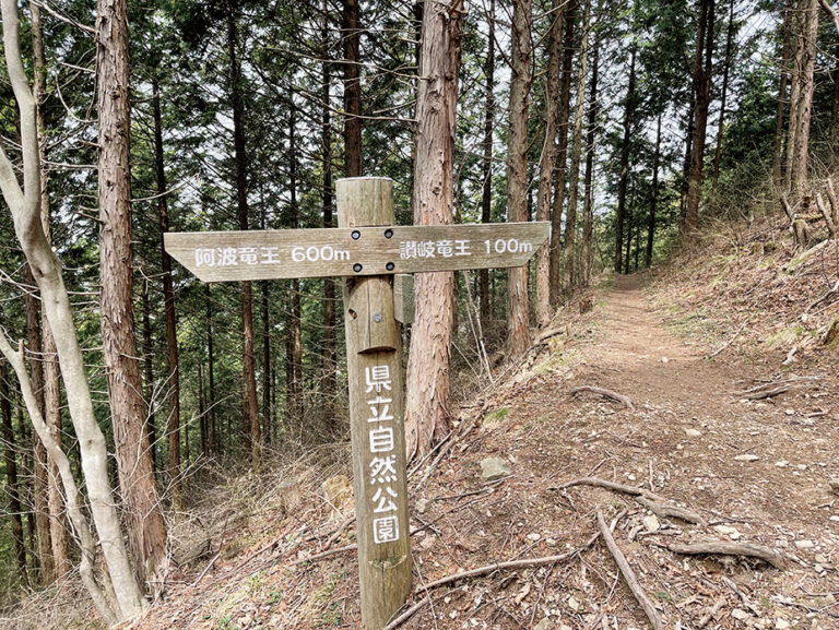 9合目を過ぎて程なくすると、阿波竜王と讃岐竜王の分岐点に到着。まずは約600m先にある阿波竜王へ。今度は急な下り階段がしばらく続く。