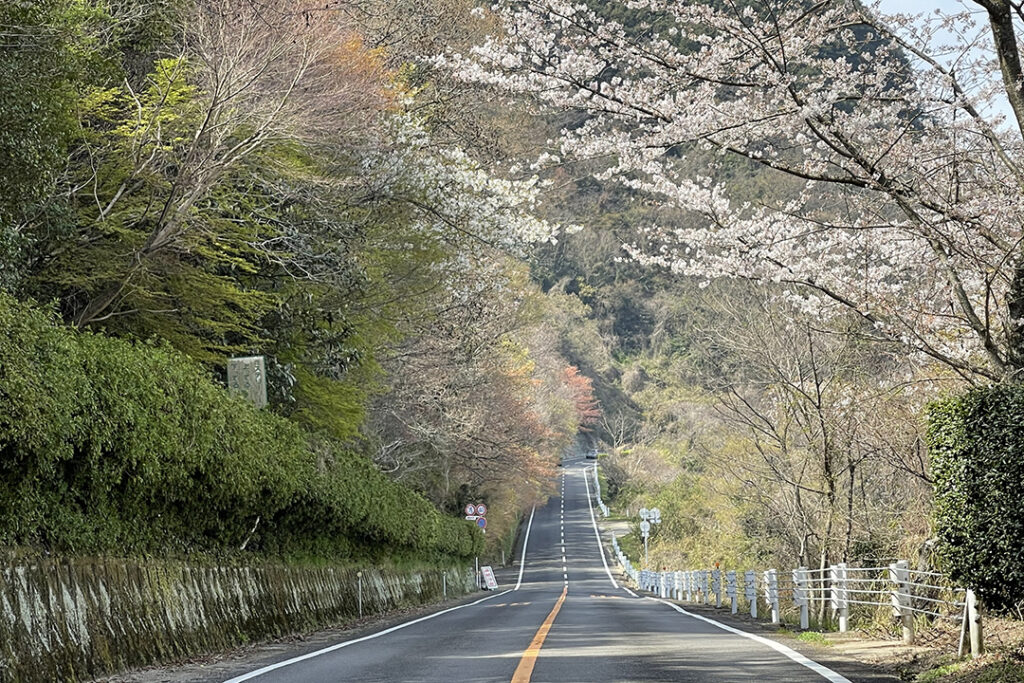 高松市の屋島の麓と頂上を結ぶ道路