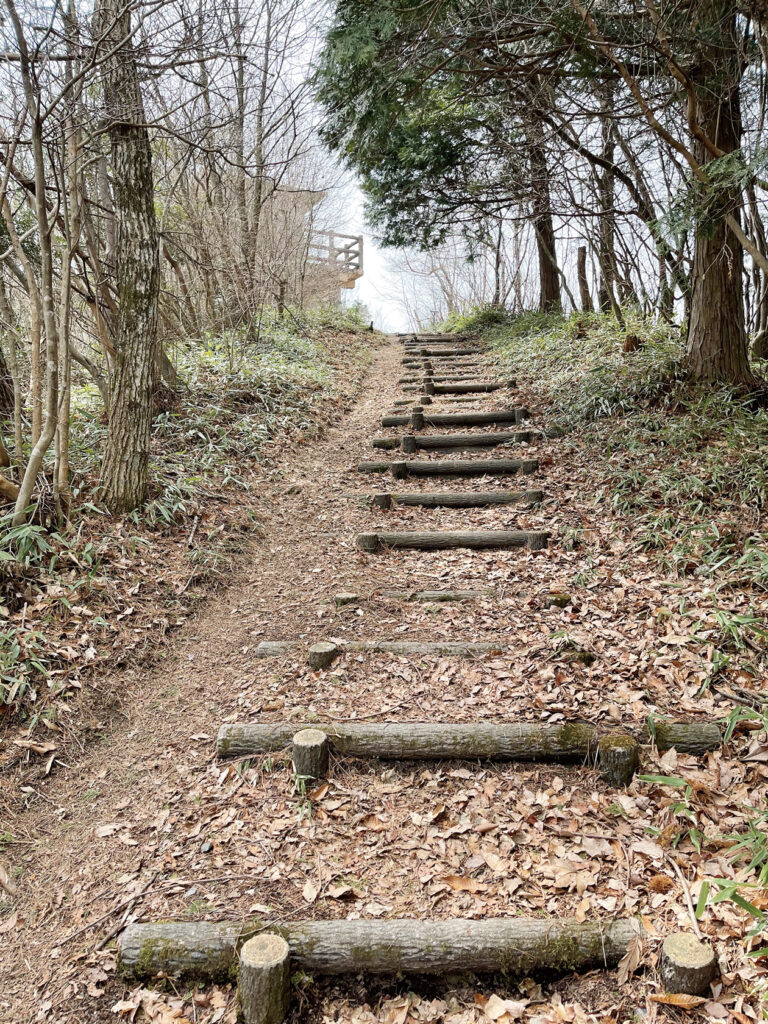 竜王山の登山道には丸太の階段が多い。たしかに登りやすくはあるのだが、疲労のたまった足腰には堪える。山頂は目と鼻の先。