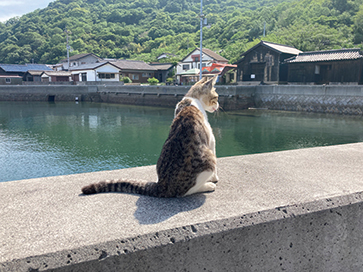 香川県多度津町