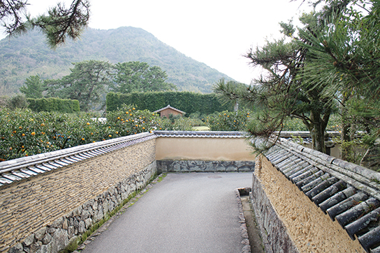 萩市平安古地区