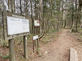 ミノコシ峠に到着