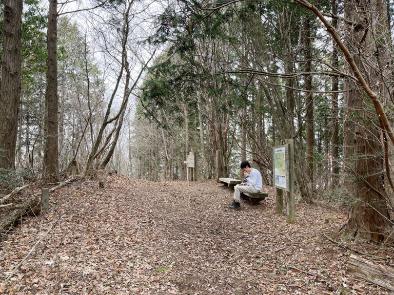 竜王山は2つの峰を持ち、西の峰が阿波竜王、東の峰が讃岐竜王と呼ばれている。讃岐竜王は標高1,058m。周囲には木々が密集していて展望は開けておらず、ここから景色を眺めることはできない。長い階段でさっそうと追い抜いていった若者がベンチで腹ごしらえをしていた。