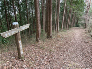 讃岐竜王からそのまま阿讃縦走路を東へ。転がり落ちそうなほどの急坂が延々と続く。こちらから登らないで良かったと安堵。