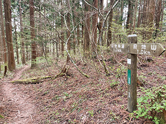 下りは寂地林道コースで